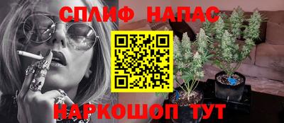 МДПВ Беслан