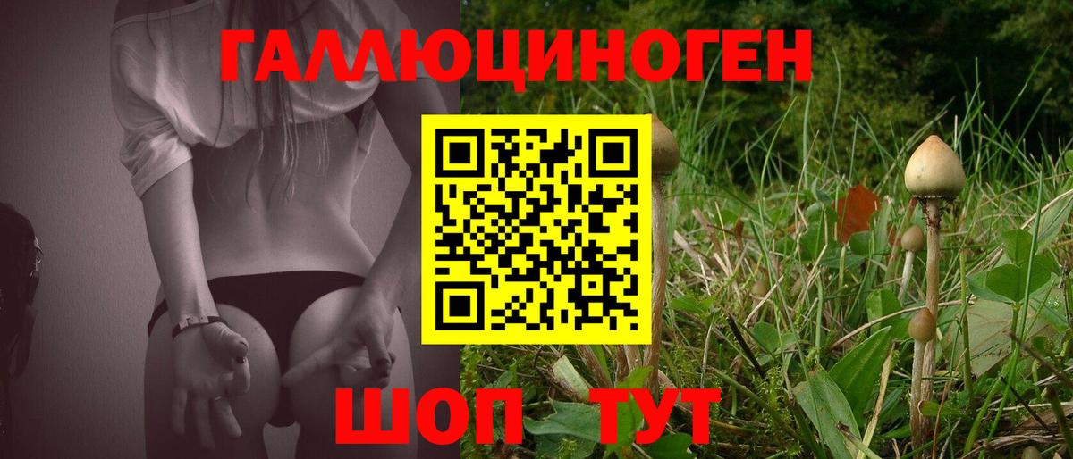 Канаш  где купить наркотик  Вход с VPN  Псилоцибиновые грибы ЛСД  Псилоцибиновые грибы Psilocybine cubensis 