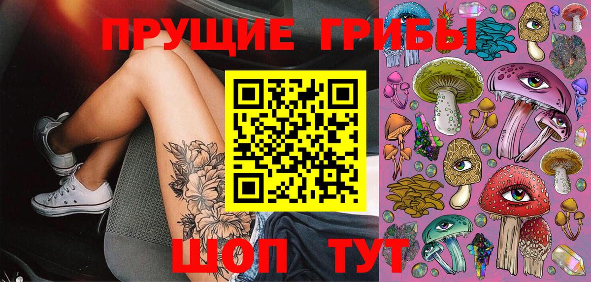 Галлюциногенные грибы Cubensis Канаш